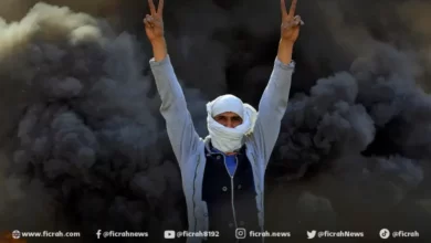 المحتوى الهابط