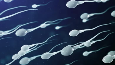 حيواناته المنوية