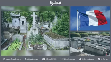 تنقيب