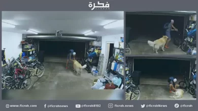سان دييغو