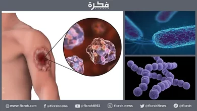 آكلة اللحوم