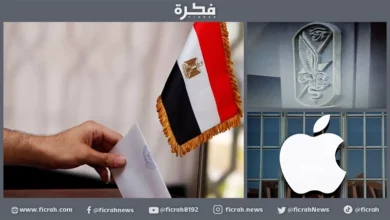 الحكومة المصرية
