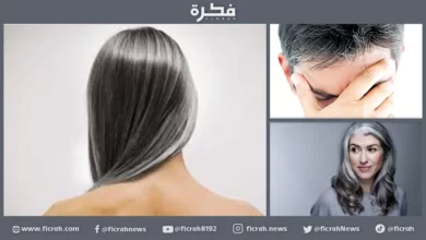 الشيب