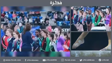عنصري