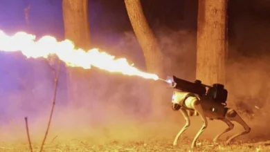 الكلب الآلي Thermonator